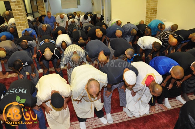 mohamed el fateh3 (3).JPG